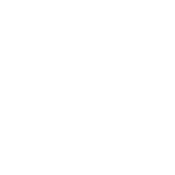 Holiday Tours