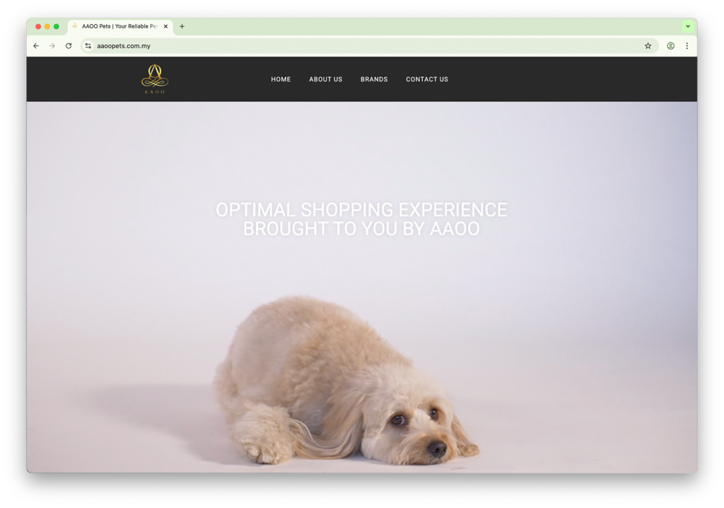 AAOO Website